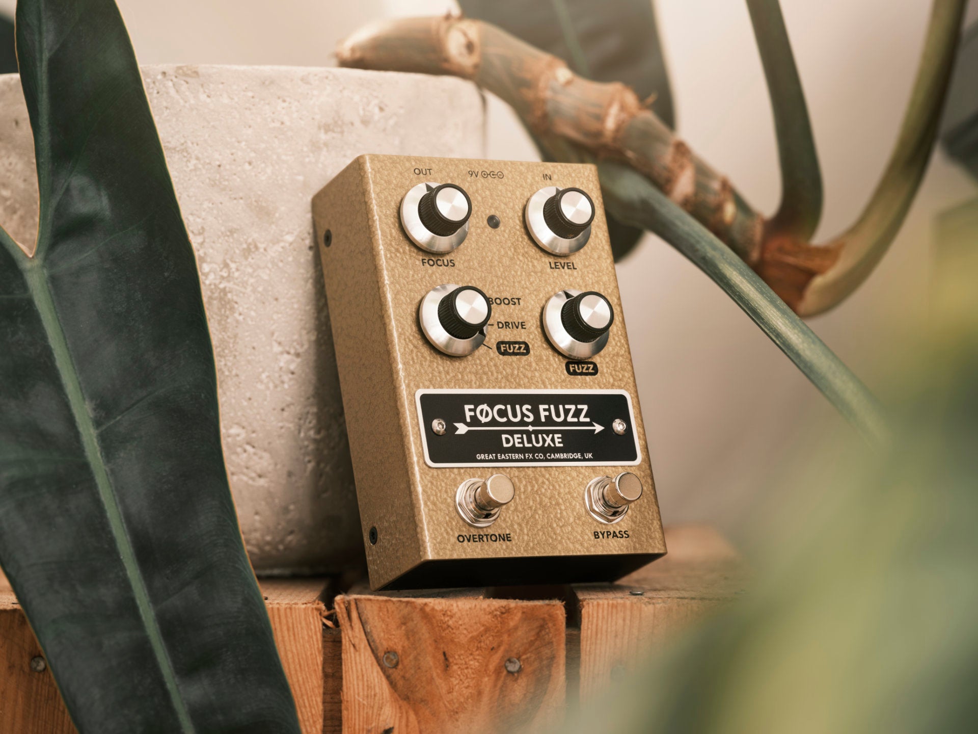 Focus Fuzz Deluxe – Great Eastern FX Co.